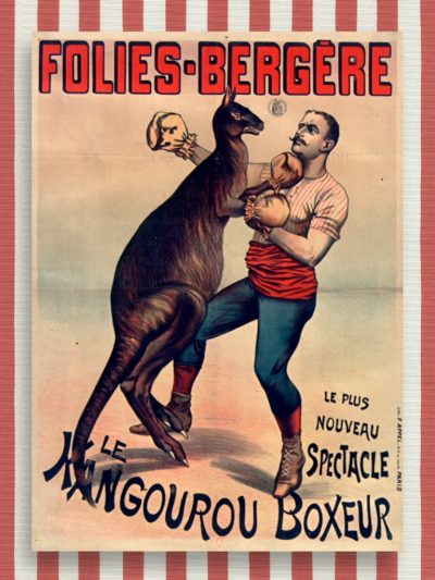 Le Kangourou Boxeur Large Poster